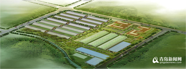 13個現(xiàn)代農(nóng)業(yè)項目落戶西海岸，總投資52億元